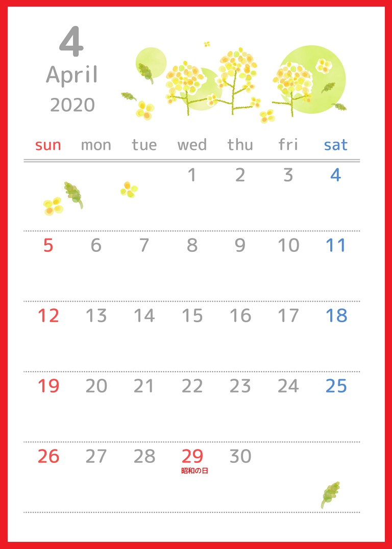 2020年4月縦型の「菜の花」イラストのカレンダー